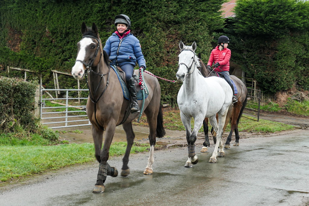 horse livery business plan